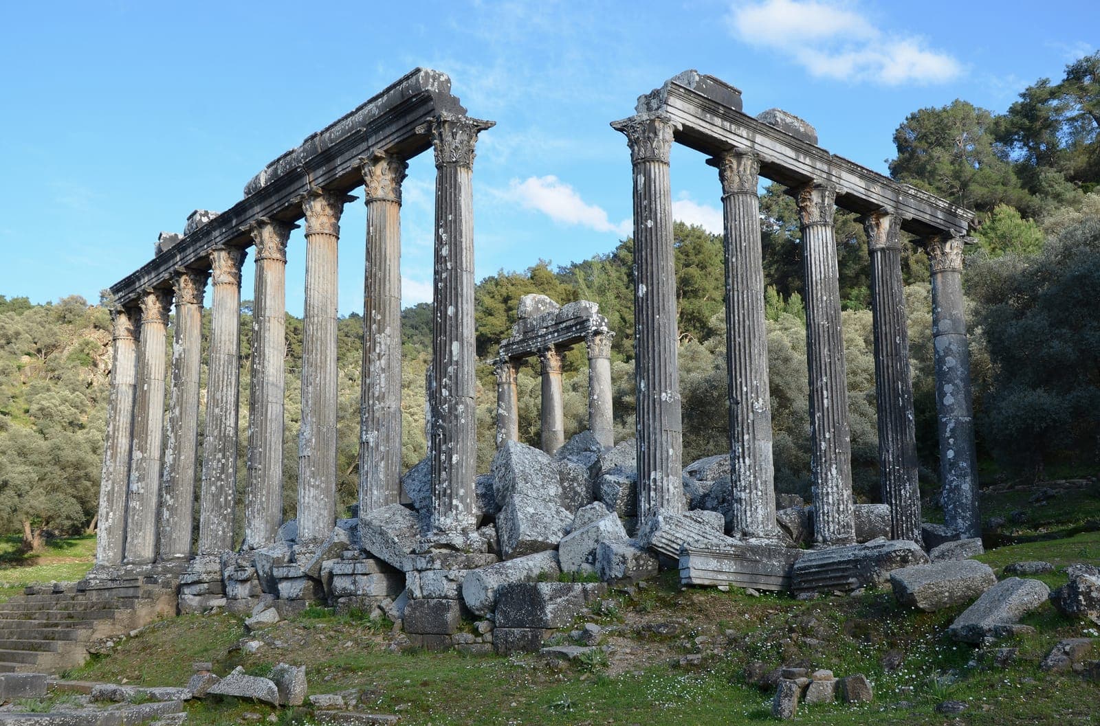 Standing Corinthian columns of the Temple of Zeus at Euromos