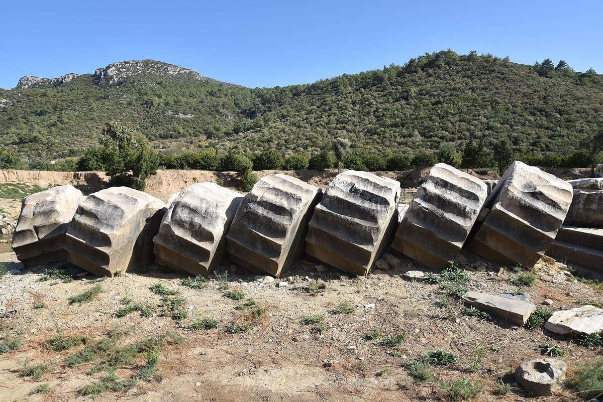 Excavated ruins of the Temple of Apollo at Klaros, showing column drums and the stepped platform, with trees in the background.