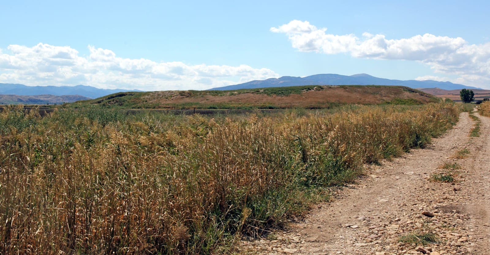 Excavation trenches at Oluz Höyük revealing multi-period settlement layers