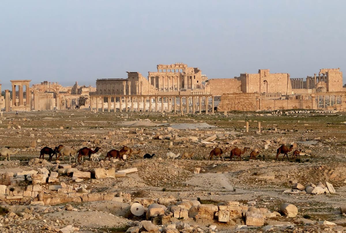 Palmyra — Syria