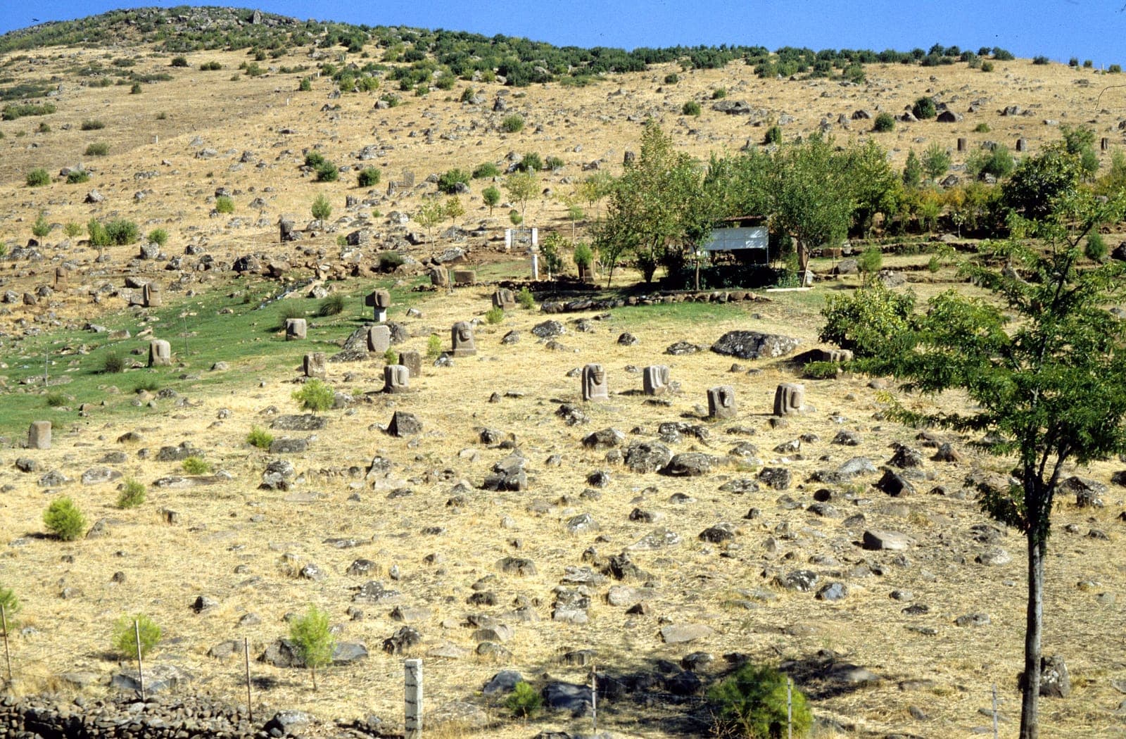 Rows of unfinished Hittite sphinx and lion sculptures at Yesemek quarry workshop